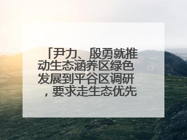 尹力、殷勇就推动生态涵养区绿色发展到平谷区调研，要求走生态优先、绿色低碳的高质量发展之路