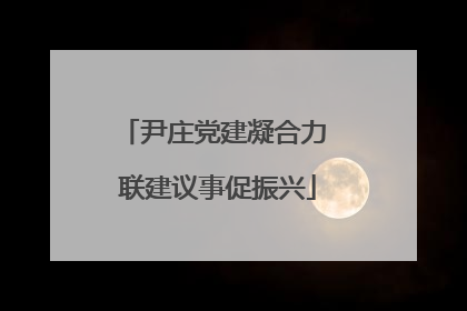 尹庄党建凝合力 联建议事促振兴