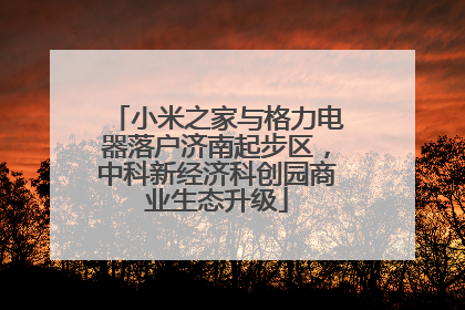 小米之家与格力电器落户济南起步区，中科新经济科创园商业生态升级