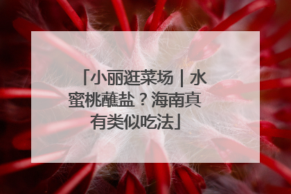 小丽逛菜场｜水蜜桃蘸盐？海南真有类似吃法