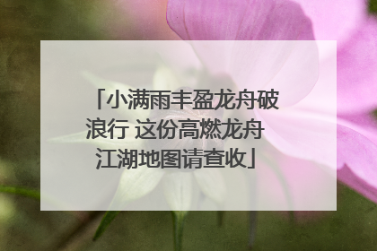 小满雨丰盈龙舟破浪行 这份高燃龙舟江湖地图请查收