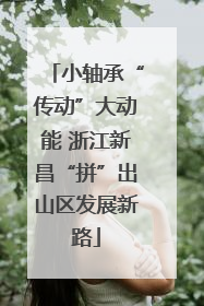 小轴承“传动”大动能 浙江新昌“拼”出山区发展新路