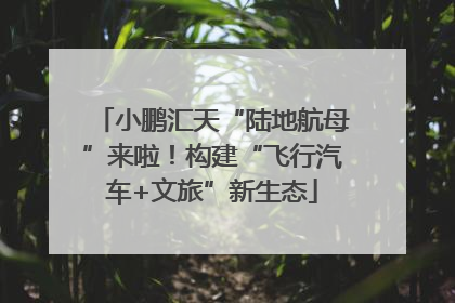 小鹏汇天“陆地航母”来啦！构建“飞行汽车+文旅”新生态