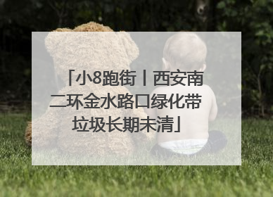 小8跑街丨西安南二环金水路口绿化带垃圾长期未清