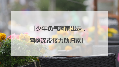 少年负气离家出走，网格深夜接力助归家