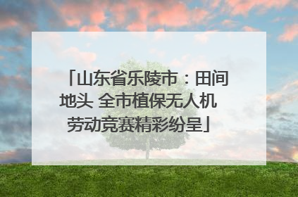 山东省乐陵市：田间地头 全市植保无人机劳动竞赛精彩纷呈