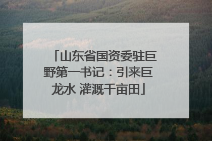 山东省国资委驻巨野第一书记：引来巨龙水 灌溉千亩田