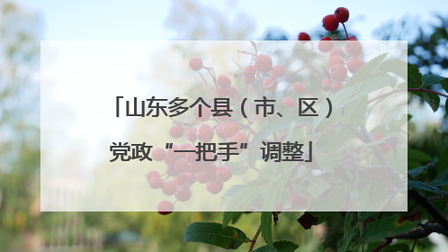 山东多个县（市、区）党政“一把手”调整