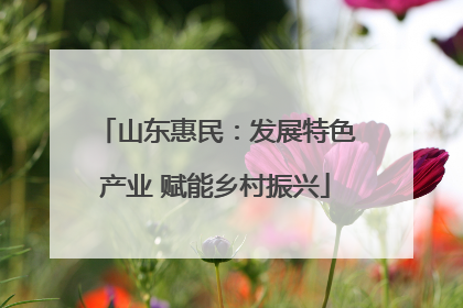 山东惠民：发展特色产业 赋能乡村振兴