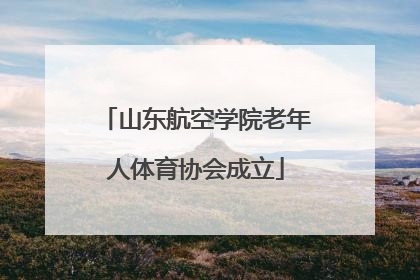 山东航空学院老年人体育协会成立
