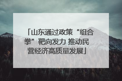山东通过政策“组合拳”靶向发力 推动民营经济高质量发展