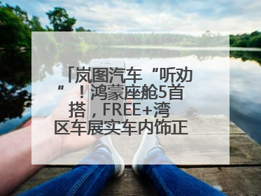 岚图汽车“听劝”！鸿蒙座舱5首搭，FREE+湾区车展实车内饰正式曝光