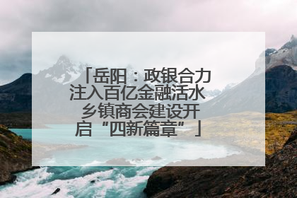 岳阳：政银合力注入百亿金融活水 乡镇商会建设开启“四新篇章”