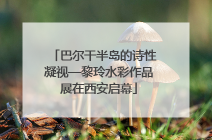 巴尔干半岛的诗性凝视—黎玲水彩作品展在西安启幕