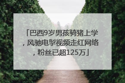 巴西9岁男孩骑猪上学，风驰电掣视频走红网络，粉丝已超125万