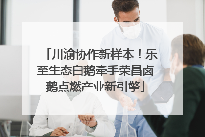 川渝协作新样本！乐至生态白鹅牵手荣昌卤鹅点燃产业新引擎