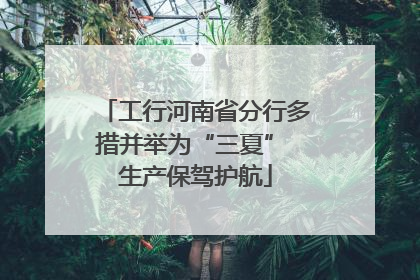 工行河南省分行多措并举为“三夏” 生产保驾护航