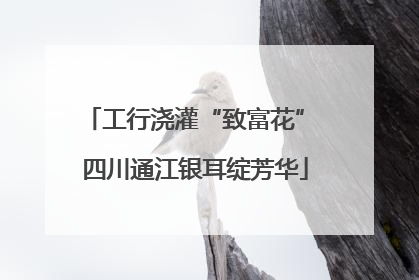 工行浇灌“致富花” 四川通江银耳绽芳华
