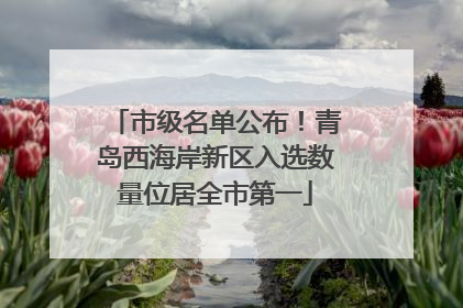 市级名单公布！青岛西海岸新区入选数量位居全市第一