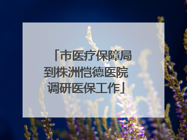 市医疗保障局到株洲恺德医院调研医保工作