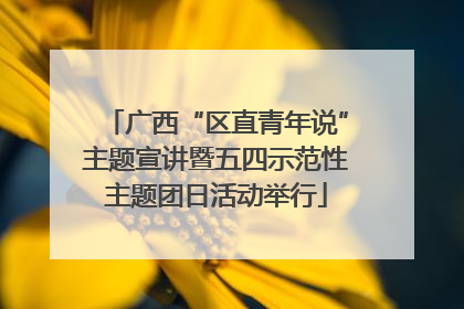 广西“区直青年说”主题宣讲暨五四示范性主题团日活动举行