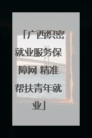 广西织密就业服务保障网 精准帮扶青年就业