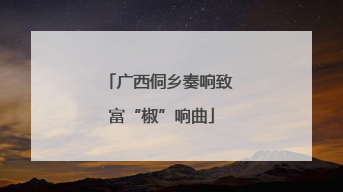 广西侗乡奏响致富“椒”响曲