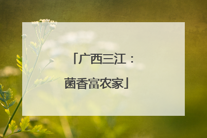广西三江：菌香富农家