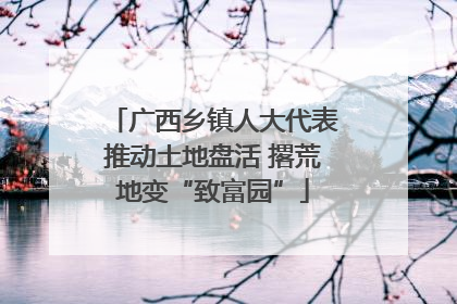 广西乡镇人大代表推动土地盘活 撂荒地变“致富园”