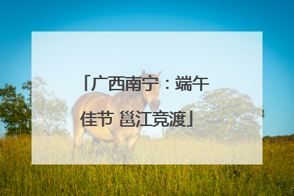 广西南宁：端午佳节 邕江竞渡