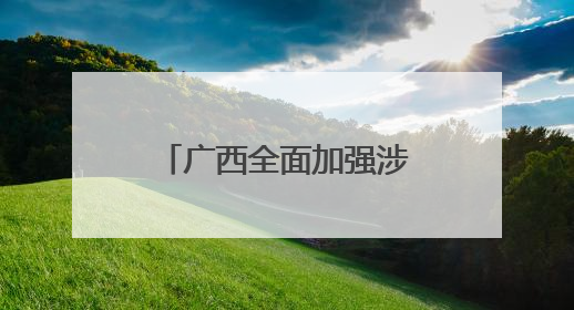 广西全面加强涉侨法律服务 以法治之光护侨益聚侨力暖侨心