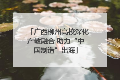广西柳州高校深化产教融合 助力“中国制造”出海