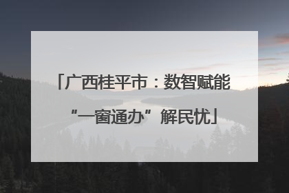 广西桂平市：数智赋能“一窗通办”解民忧