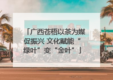 广西苍梧以茶为媒促振兴 文化赋能“绿叶”变“金叶”
