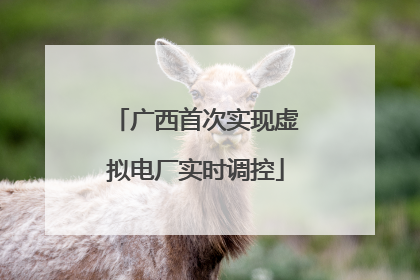 广西首次实现虚拟电厂实时调控