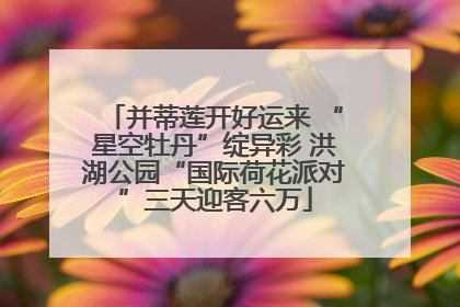 并蒂莲开好运来 “星空牡丹”绽异彩 洪湖公园“国际荷花派对”三天迎客六万