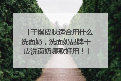 干燥皮肤适合用什么洗面奶，洗面奶品牌干皮洗面奶哪款好用！