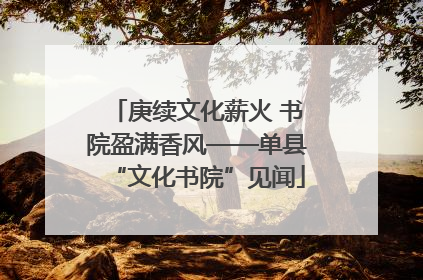 庚续文化薪火 书院盈满香风——单县“文化书院”见闻