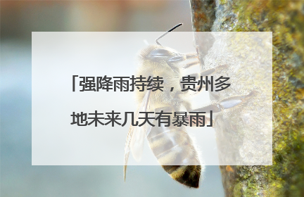 强降雨持续，贵州多地未来几天有暴雨
