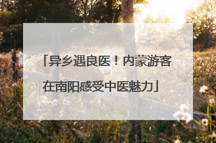 异乡遇良医！内蒙游客在南阳感受中医魅力