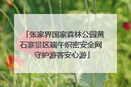 张家界国家森林公园黄石寨景区端午织密安全网 守护游客安心游
