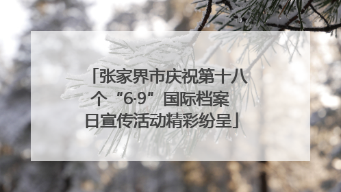 张家界市庆祝第十八个“6·9”国际档案日宣传活动精彩纷呈