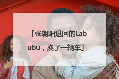 张朝阳退回的Labubu，换了一辆车