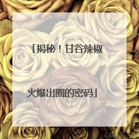 揭秘！甘谷辣椒火爆出圈的密码