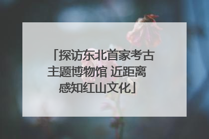 探访东北首家考古主题博物馆 近距离感知红山文化