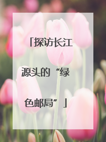 探访长江源头的“绿色邮局”