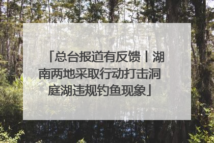 总台报道有反馈丨湖南两地采取行动打击洞庭湖违规钓鱼现象