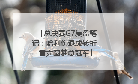 总决赛G7复盘笔记：哈利伤退成转折 雷霆圆梦总冠军