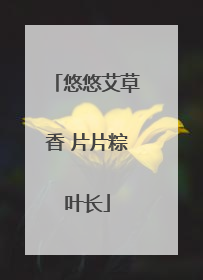 悠悠艾草香 片片粽叶长