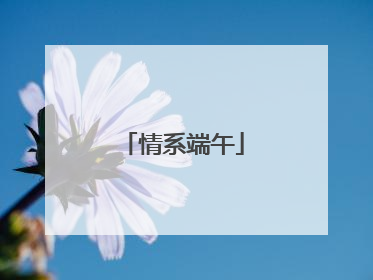 情系端午